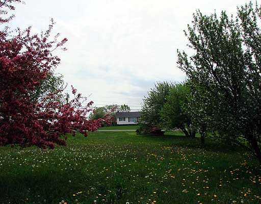 155 Calais Road Houlton, ME 04730 - Photo 10 of 25 Yard/Garden.