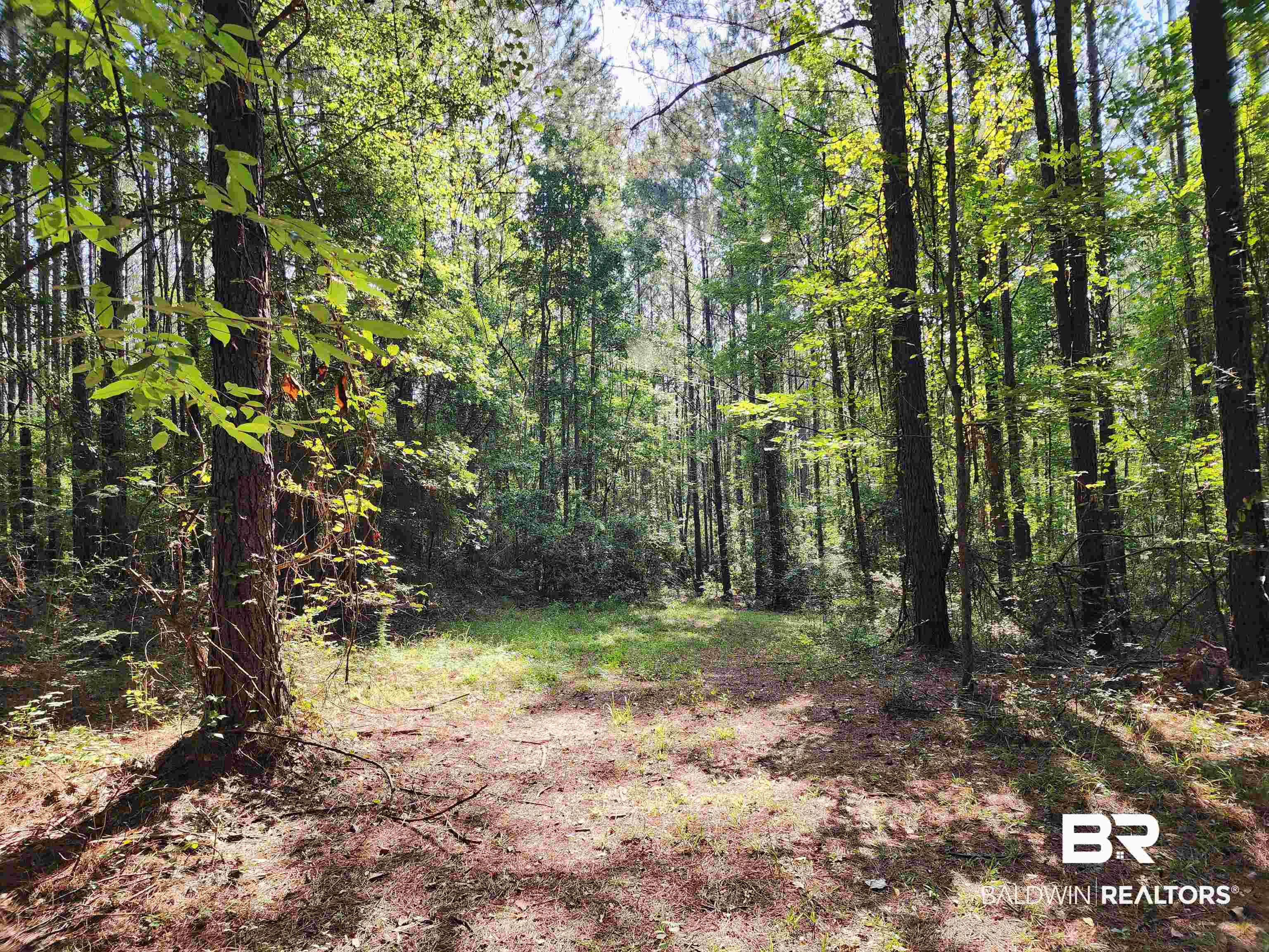 0 Lowery Road Atmore, AL 36502 - Photo 28 of 28