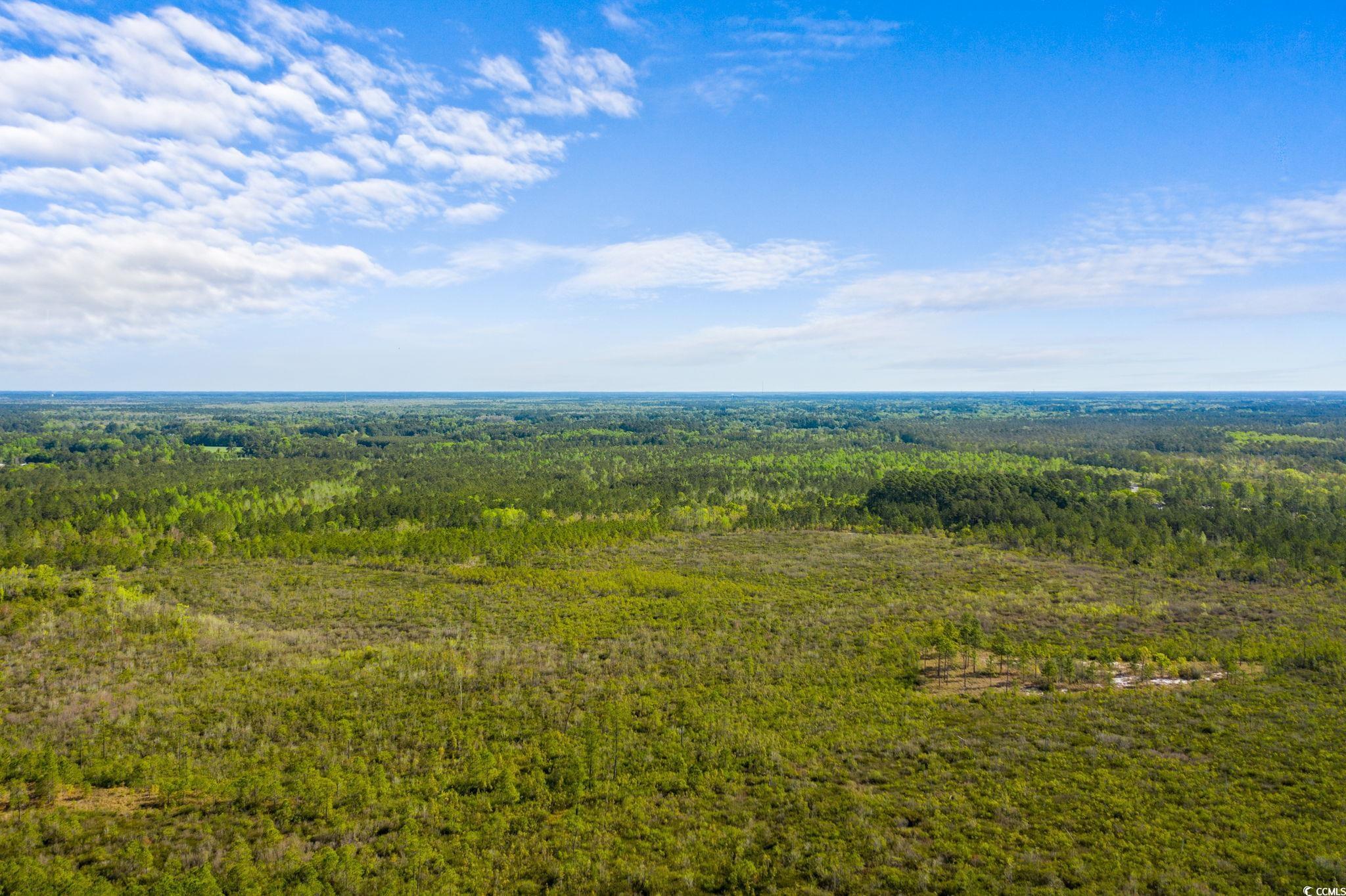 Tbd Water Tower Road Longs, SC 29568 - Photo 6 of 21