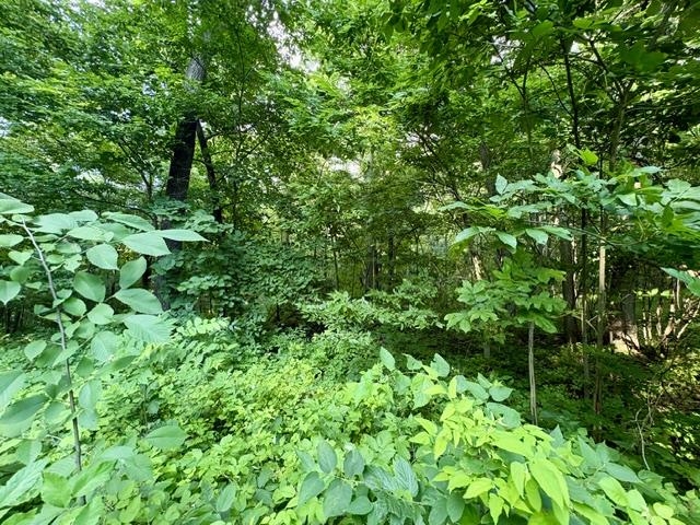 Lot 9 Mount Hope Brodhead, WI 53520 - Photo 7 of 14