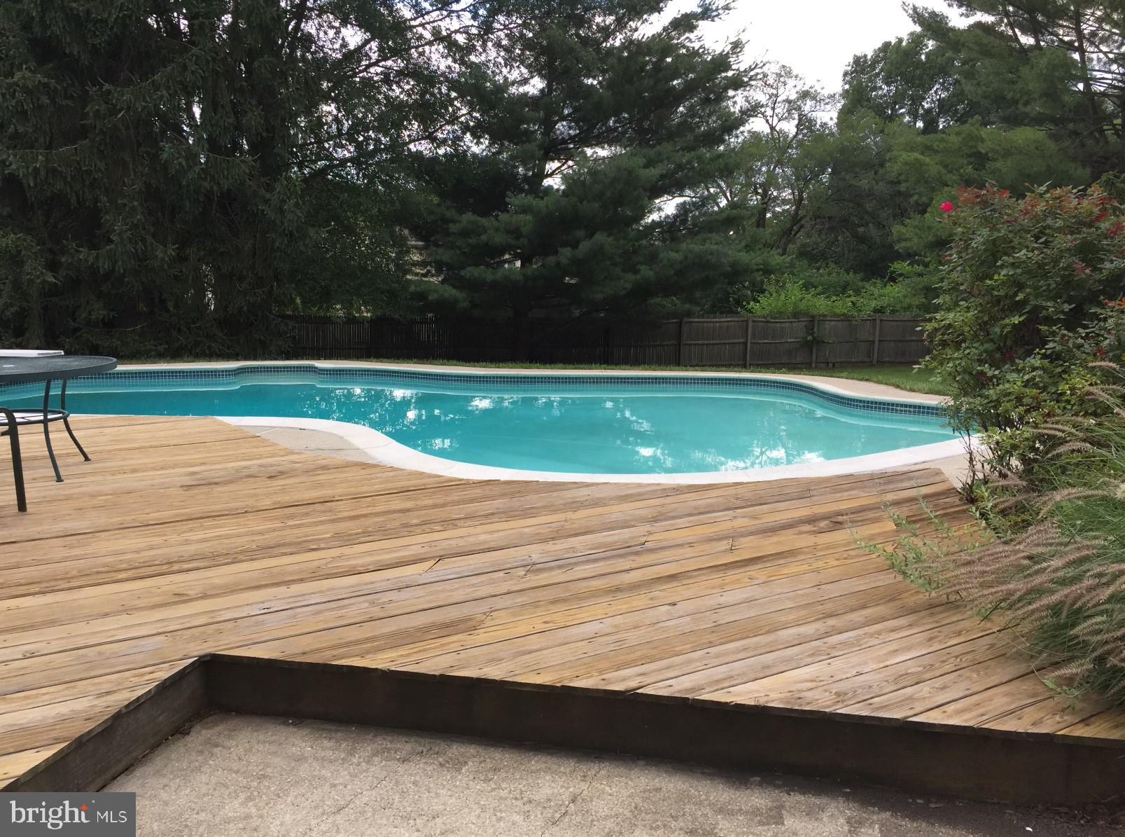 15016 Whitegate Road Silver Spring, MD 20905 - Photo 4 of 36 Gorgeous pool