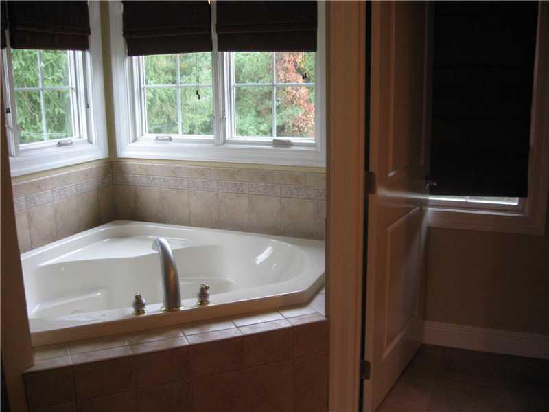 10377 Grubbs Road Wexford, PA 15090 - Photo 14 of 23 Master Bath/Spa.