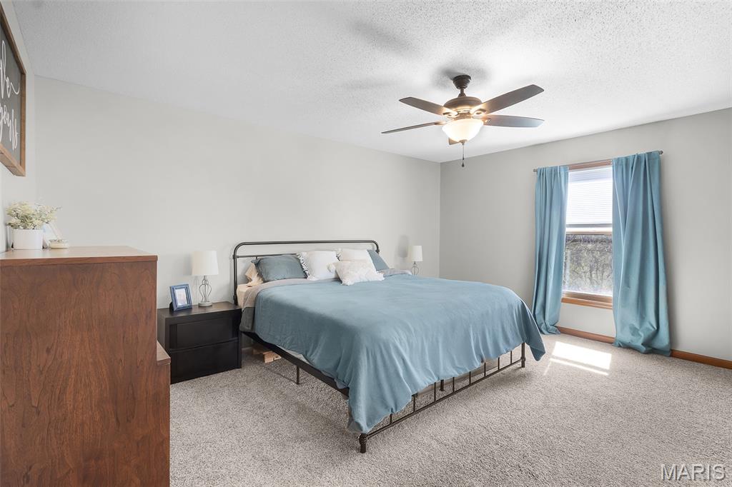 134 Autumn Ridge Altenburg, MO 63732 - Photo 16 of 34