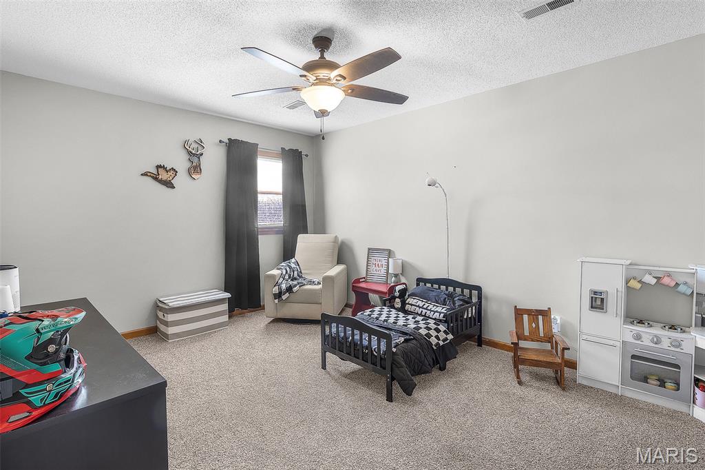 134 Autumn Ridge Altenburg, MO 63732 - Photo 24 of 34