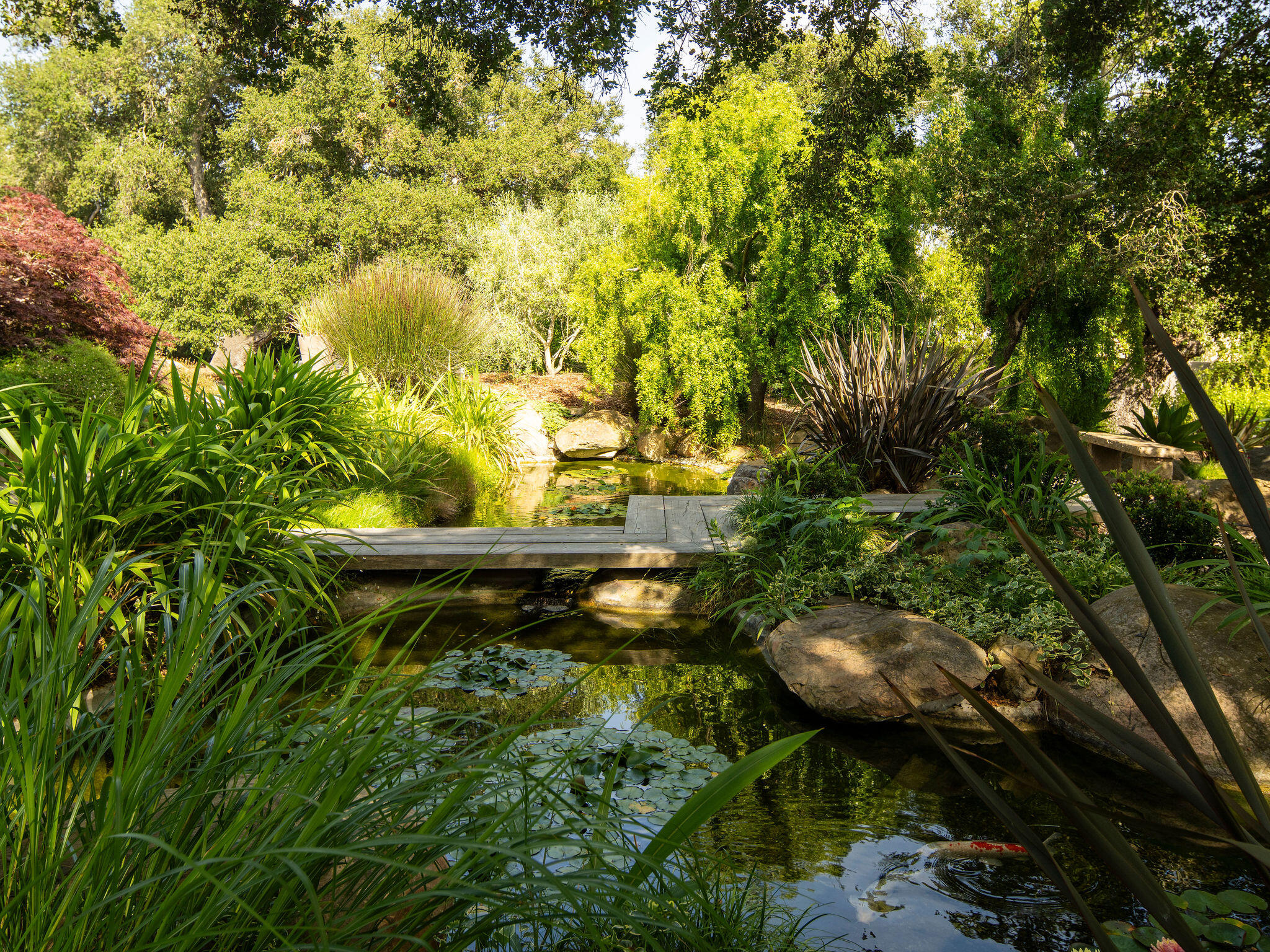 650 San Ysidro Road Montecito, CA 93108 - Photo 35 of 54 a view of a yard