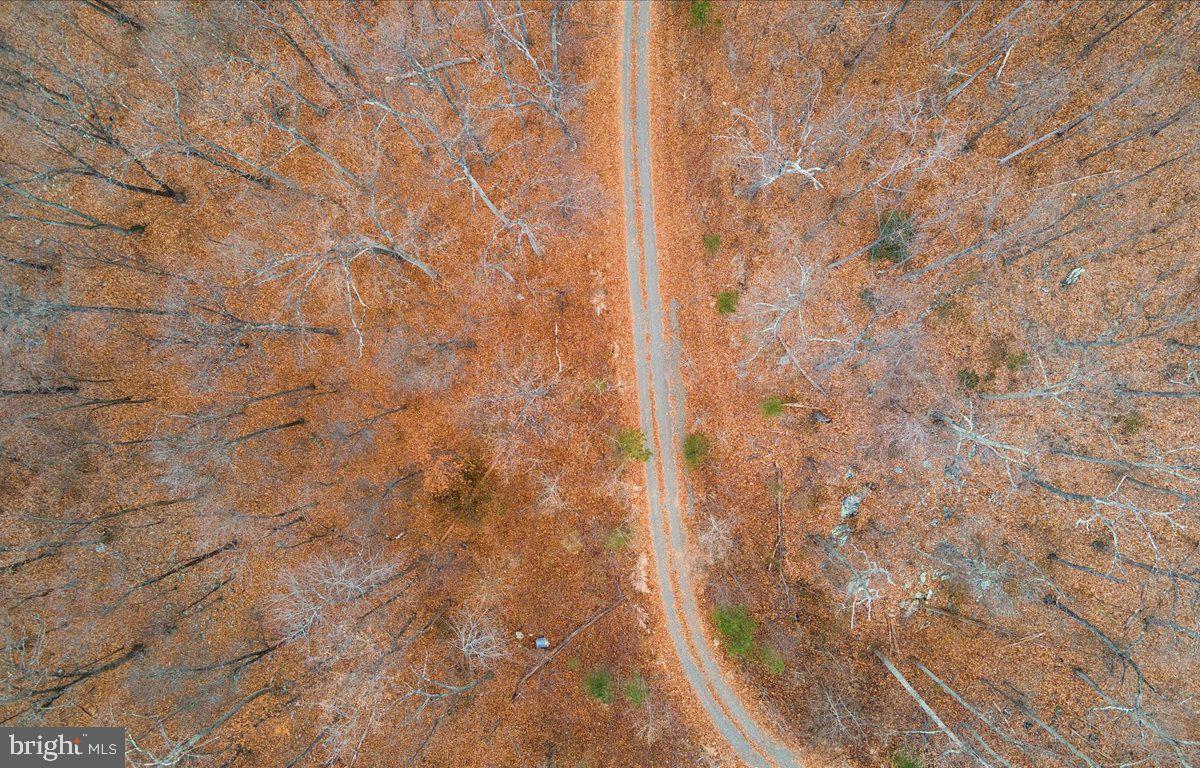 Primrose Marshall, VA 20115 - Photo 20 of 21