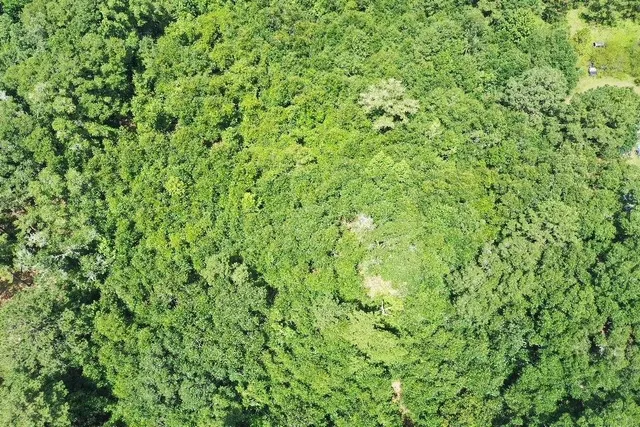 $79,000 | Xx South Lanier Road, Havana, FL 32333