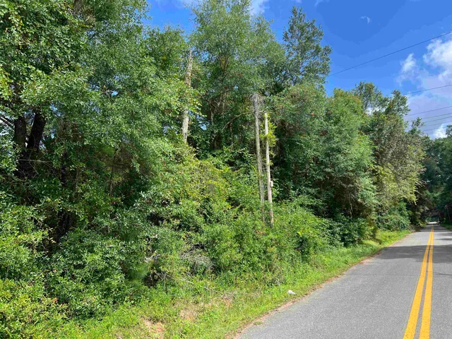 $79,000 | Xx South Lanier Road, Havana, FL 32333