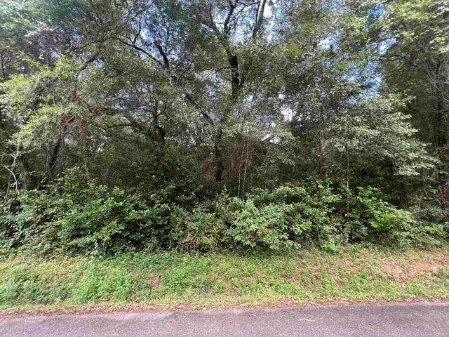 $79,000 | Xx South Lanier Road, Havana, FL 32333