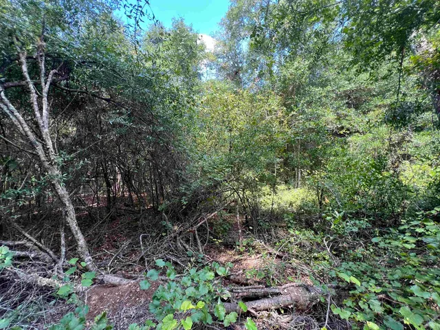 $79,000 | Xx South Lanier Road, Havana, FL 32333