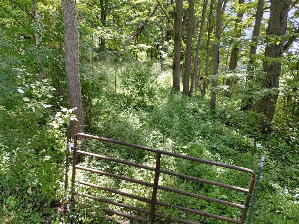 4246 East Williamson Road Marion, NY 14505 - Photo 30 of 38