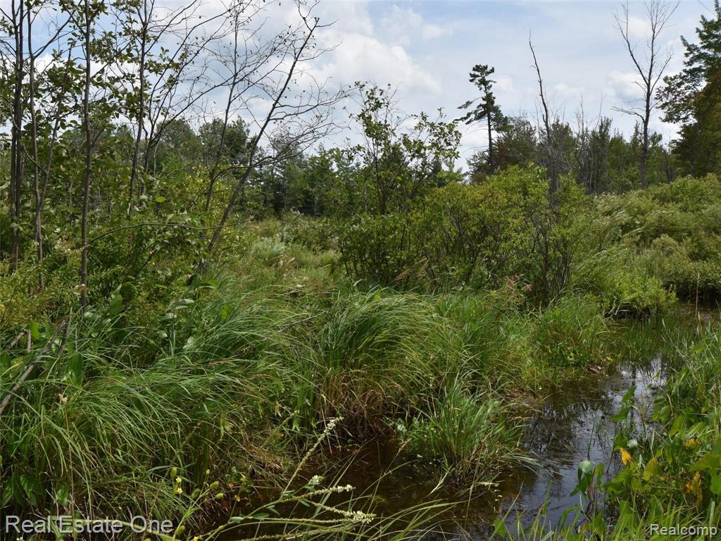 0 South Morrison Road West Branch, MI 48661 - Photo 15 of 38