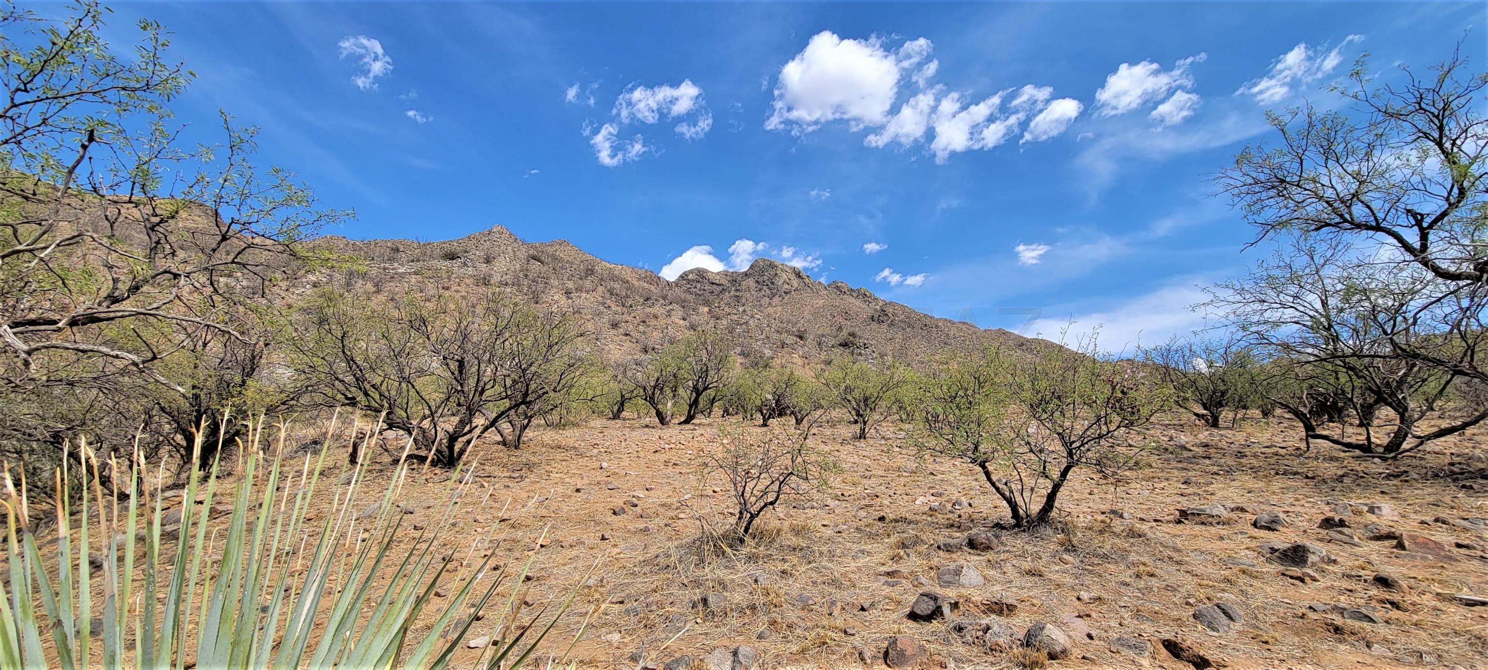 1501 Vía San Cayetano, Unit 25 Rio Rico, AZ 85648 - Photo 5 of 16