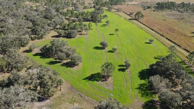 545 New Boot Heel Road Venus, FL 33960 - Photo 6 of 22 Photo 5
