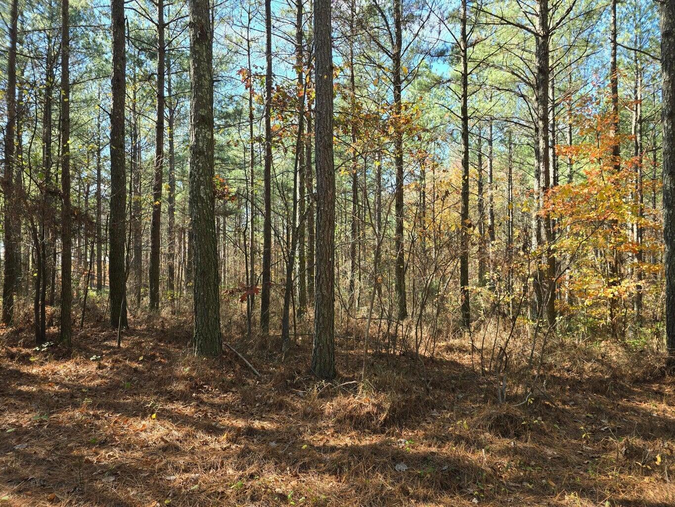 0 Melody Drive, Unit 2054 Guild, TN 37340 - Photo 11 of 11 20241126005858725957000000-o