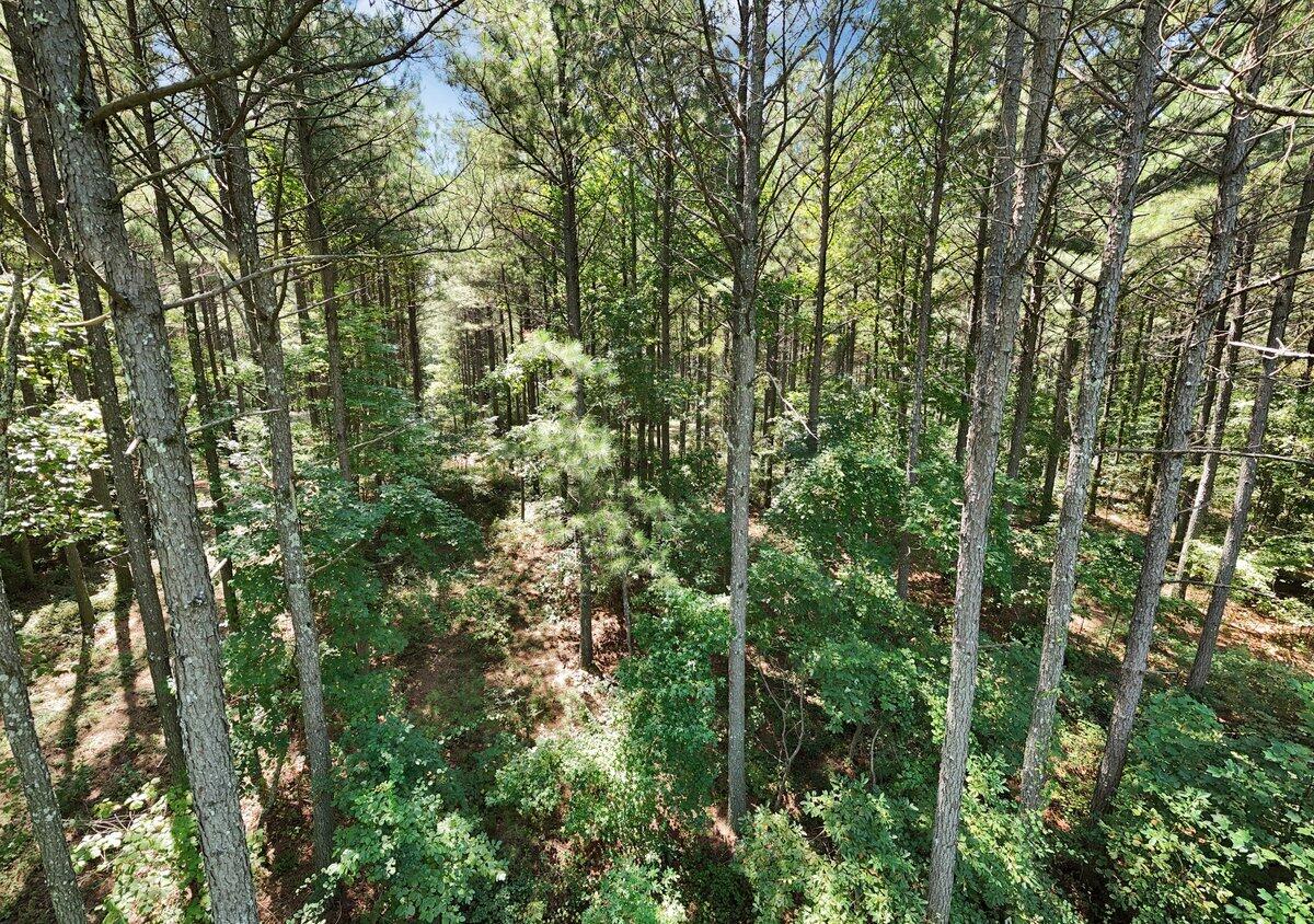 0 Melody Drive, Unit 2054 Guild, TN 37340 - Photo 2 of 11 DJI_20250819130403_0006_D