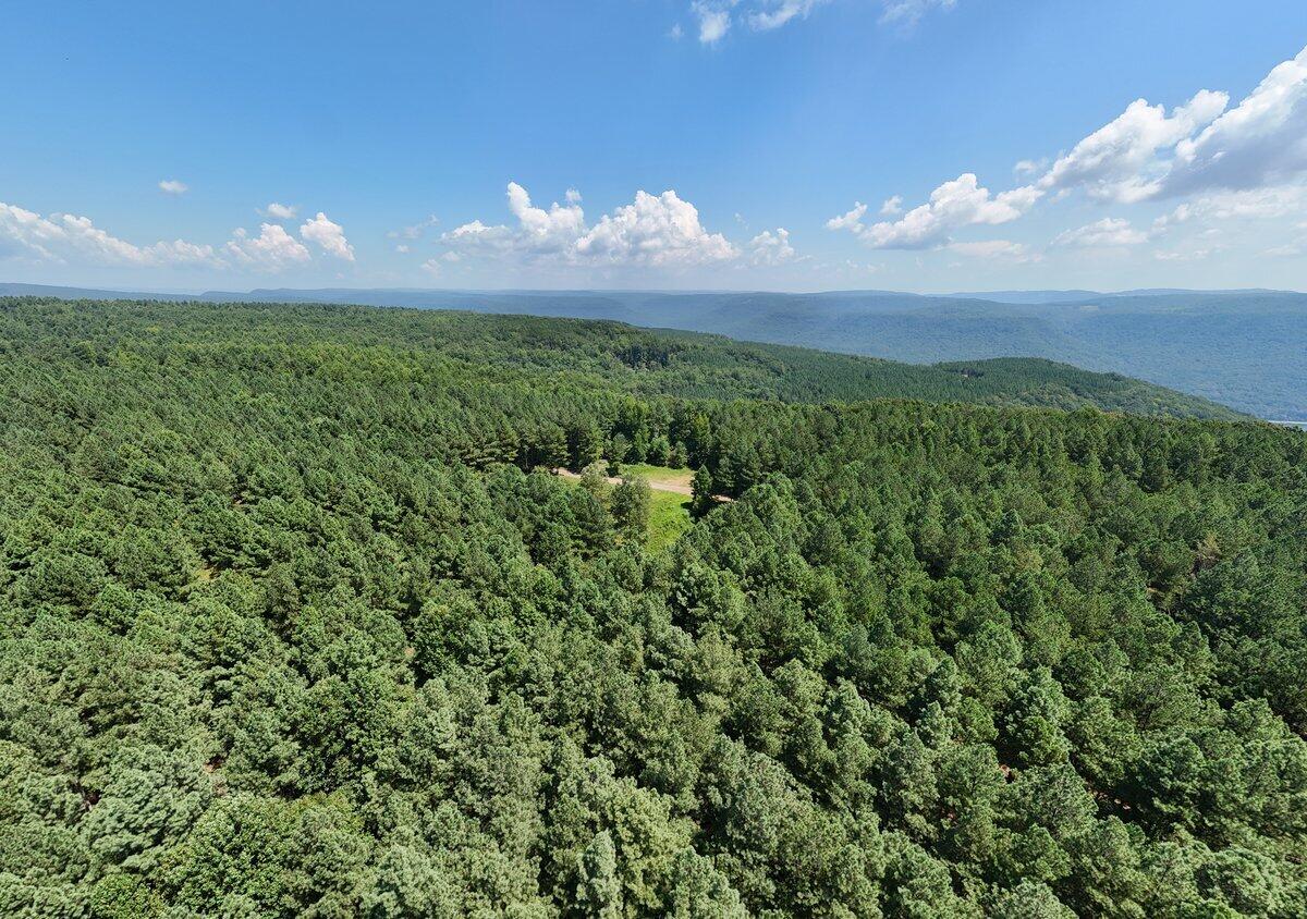 0 Melody Drive, Unit 2054 Guild, TN 37340 - Photo 5 of 11 DJI_20250819130449_0007_D