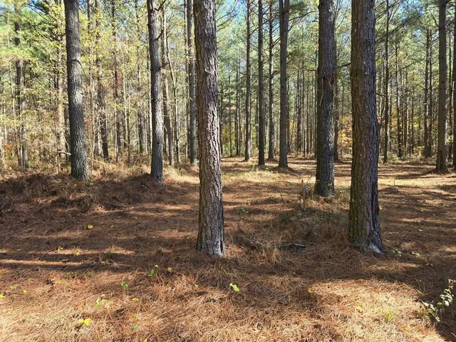 $225,000 | 0 Melody Drive, Unit 2054, Guild, TN 37340