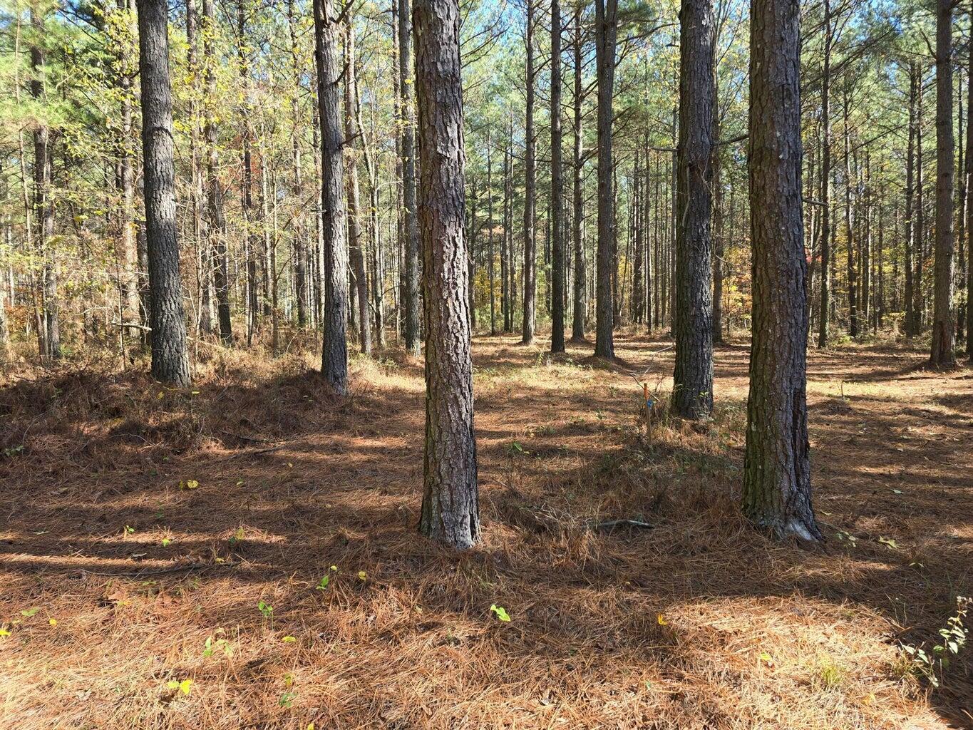 0 Melody Drive, Unit 2054 Guild, TN 37340 - Photo 6 of 11 20241126005846136678000000-o