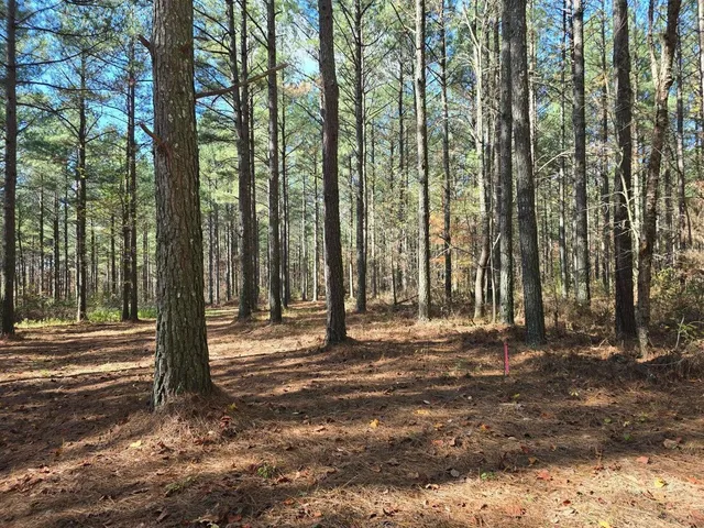 $225,000 | 0 Melody Drive, Unit 2054, Guild, TN 37340