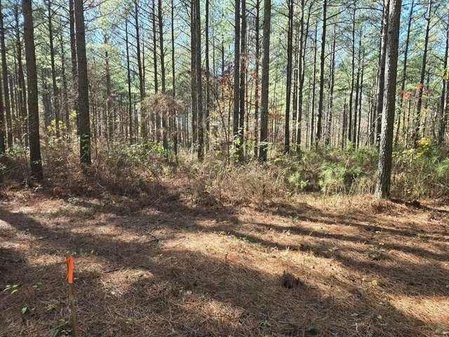 $225,000 | 0 Melody Drive, Unit 2054, Guild, TN 37340