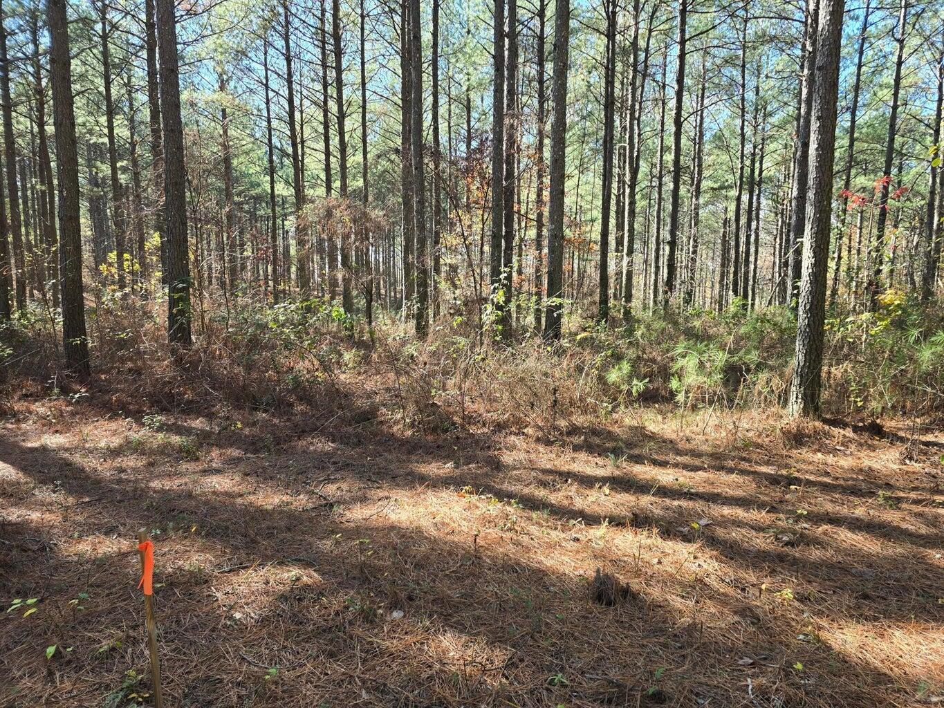 0 Melody Drive, Unit 2054 Guild, TN 37340 - Photo 8 of 11 20241126005852331013000000-o