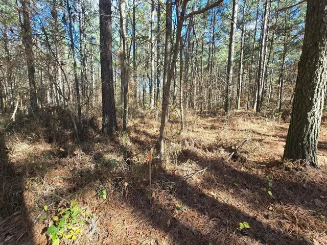 $225,000 | 0 Melody Drive, Unit 2054, Guild, TN 37340