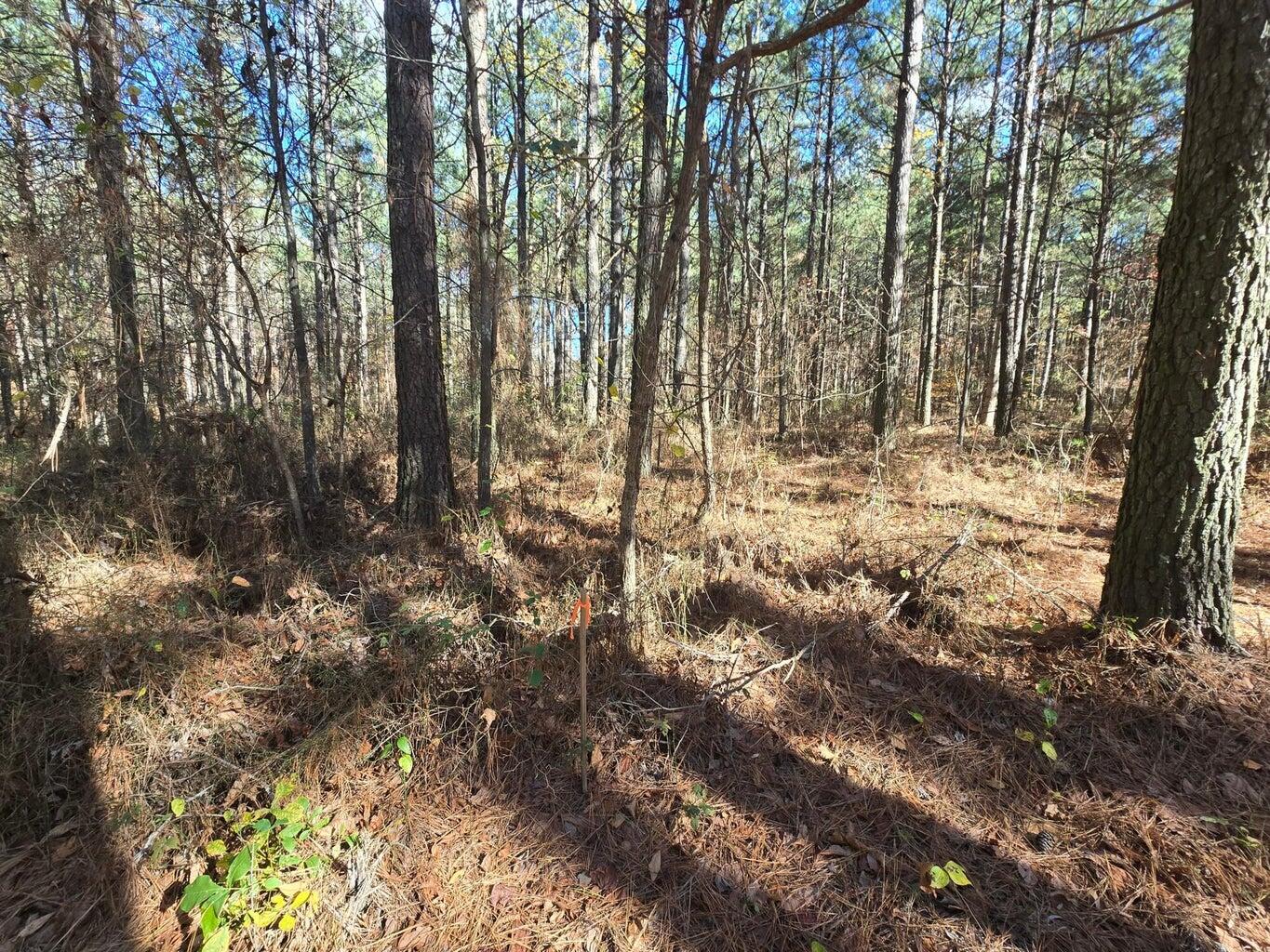 0 Melody Drive, Unit 2054 Guild, TN 37340 - Photo 9 of 11 20241126005911173058000000-o