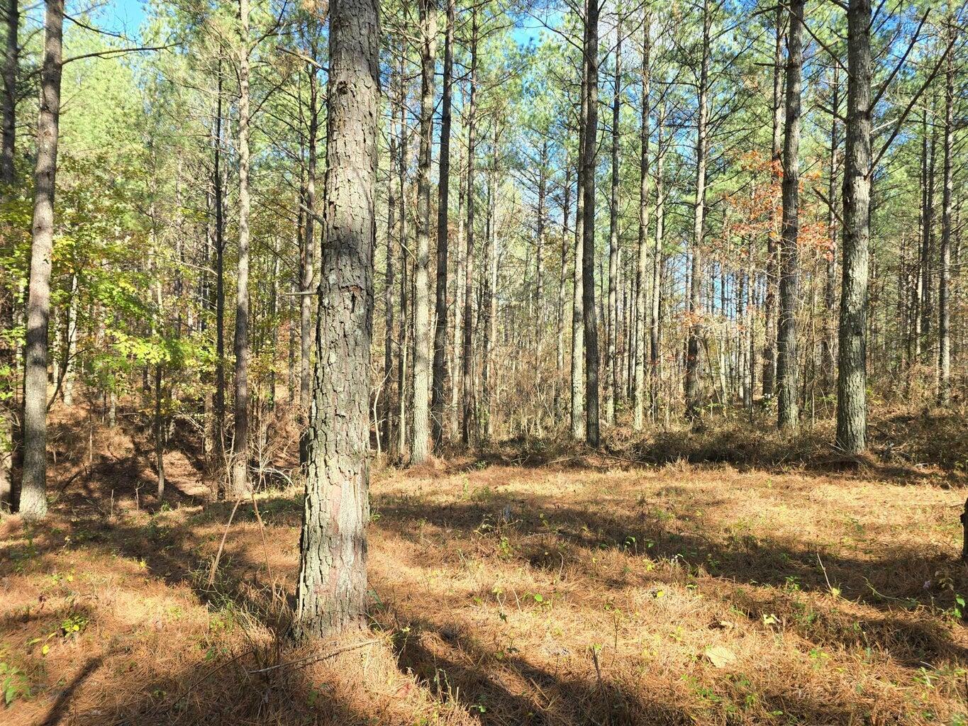 0 Melody Drive, Unit 2054 Guild, TN 37340 - Photo 10 of 11 20241126005902885454000000-o