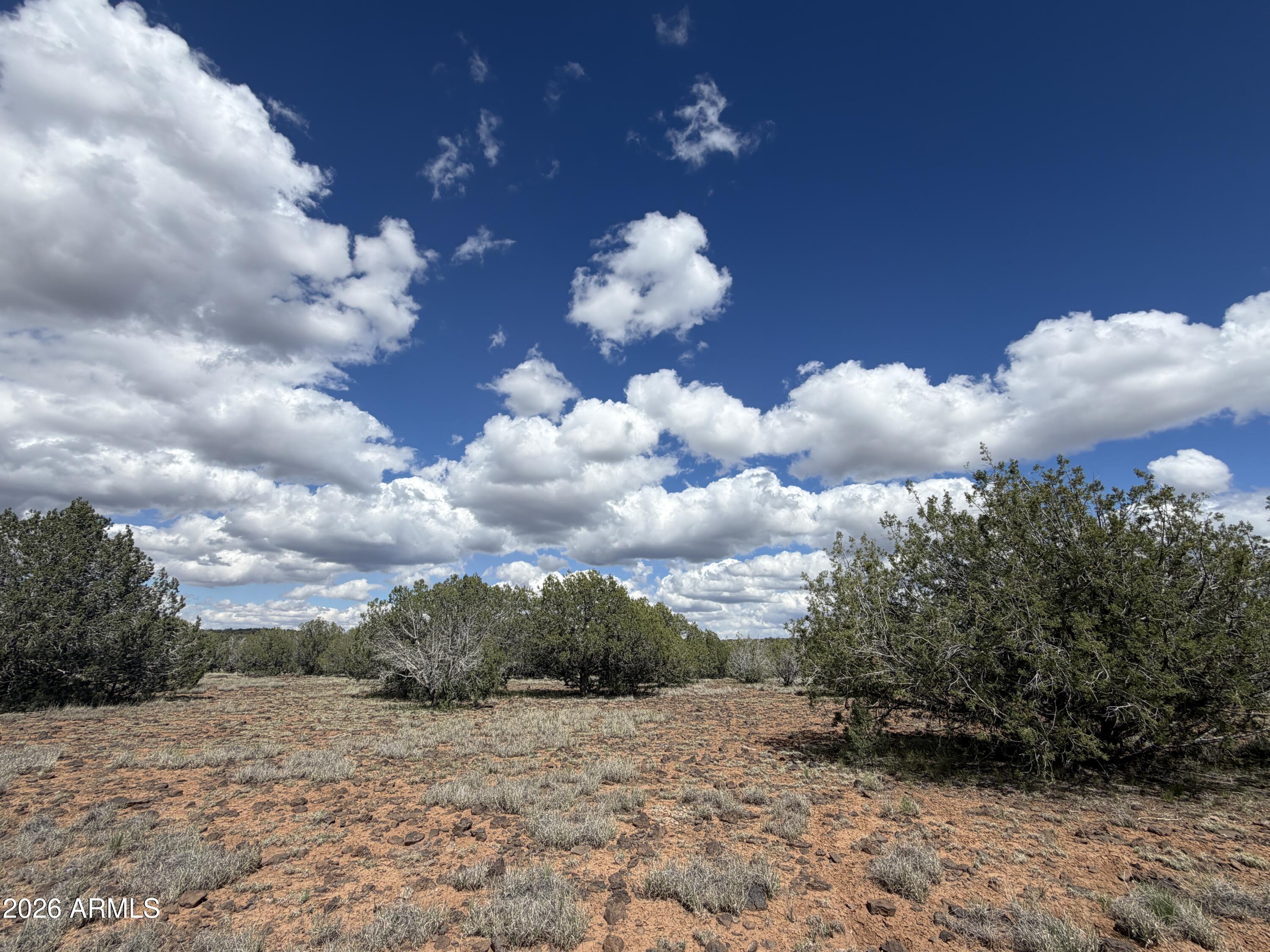 1 Hideaway Road Ash Fork, AZ 86320 - Photo 40 of 43 a view of a big yard with large trees