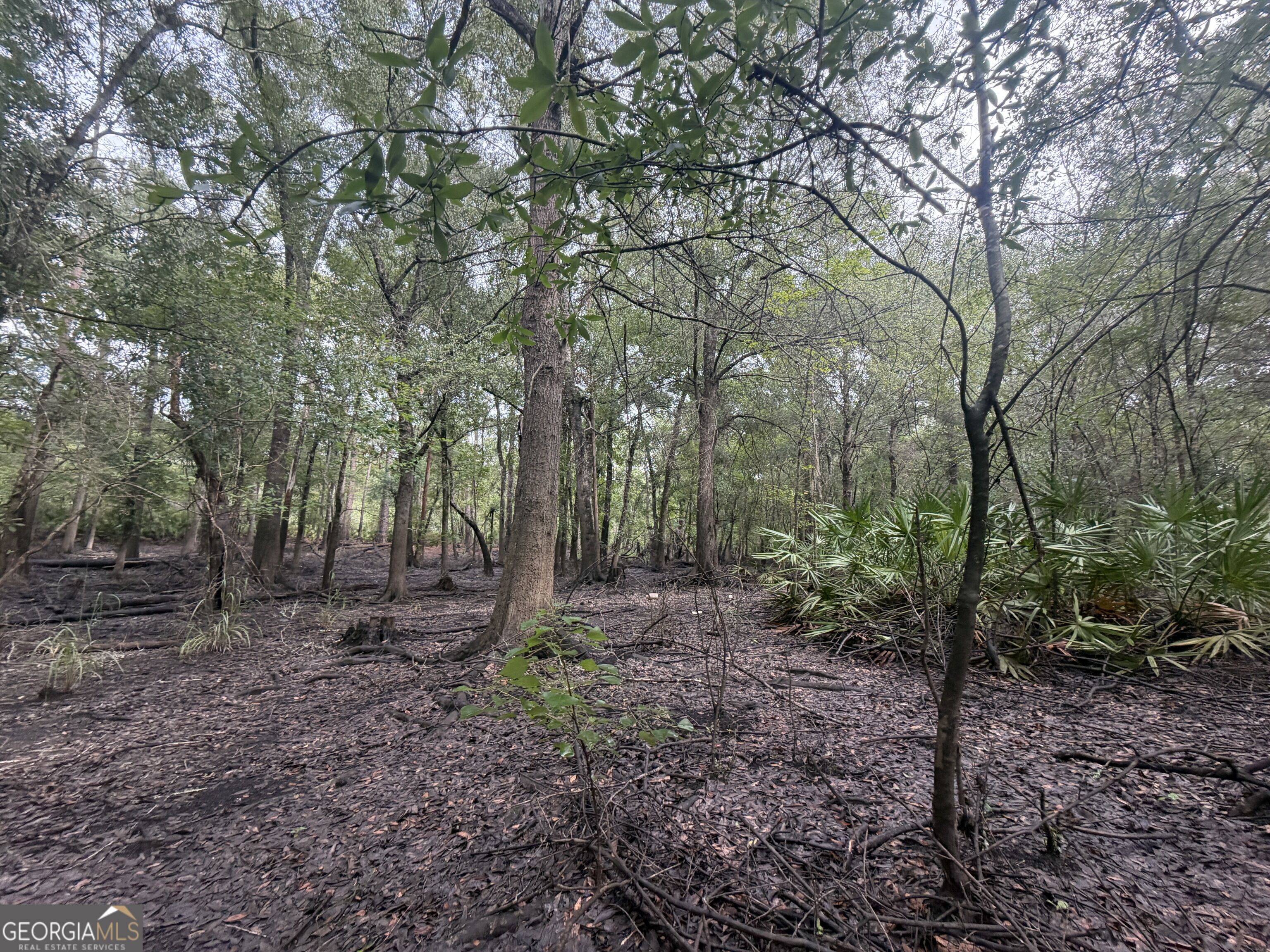 0 Jamestown Road Waycross, GA 31503 - Photo 39 of 92 Gallery Image 39