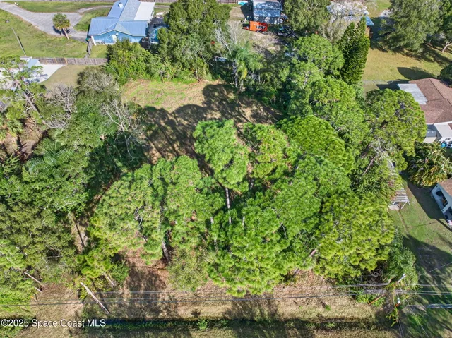 a view of a garden with a fountain