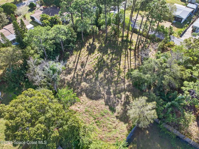 a view of a tree in a yard