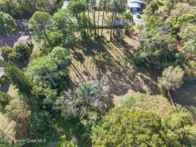 a view of a tree in a yard
