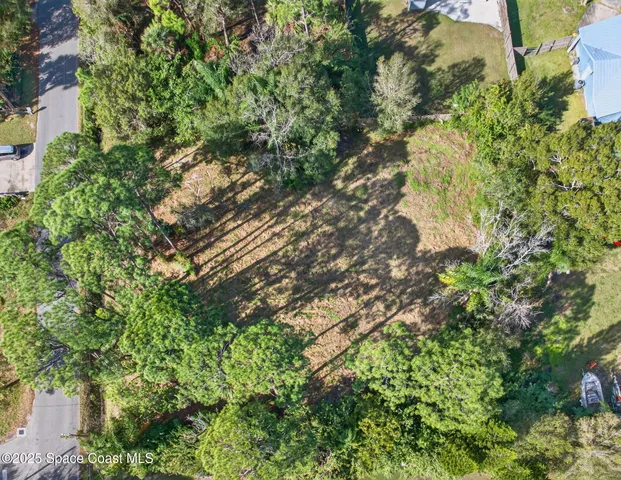 a backyard of a house with lots of trees
