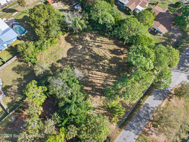 a picture of flowers in middle of garden