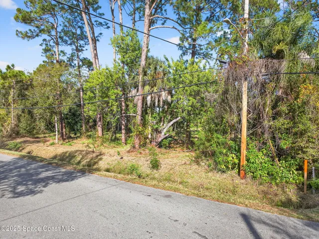 a view of a yard with plants and trees