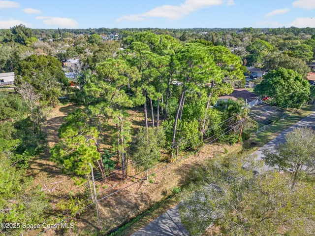 a view of a garden with plants