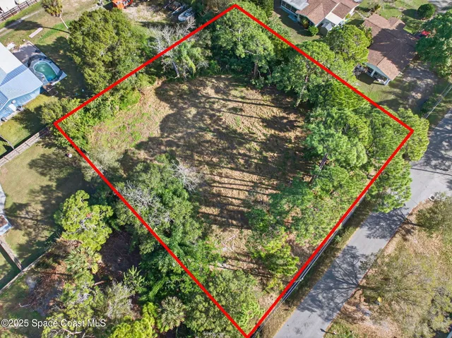 an outdoor space with lots of flowers and trees