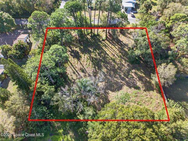 a close up of a plant