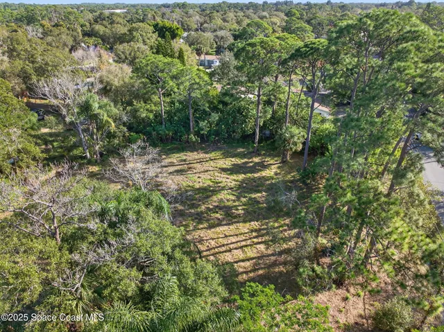a view of a yard with a tree