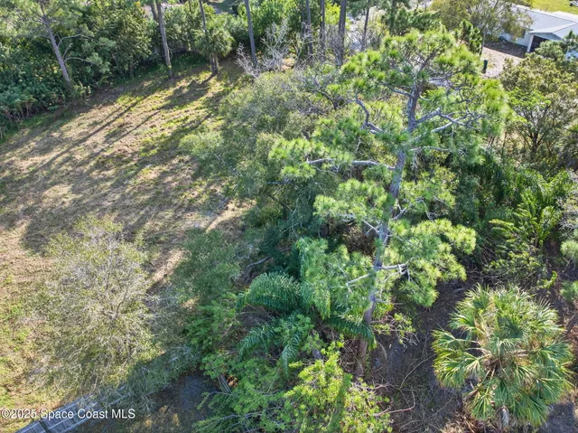 a view of a garden with a tree