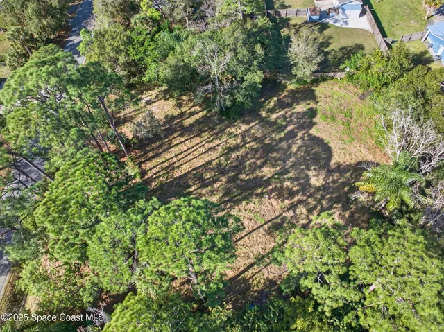 a backyard of a house with lots of trees