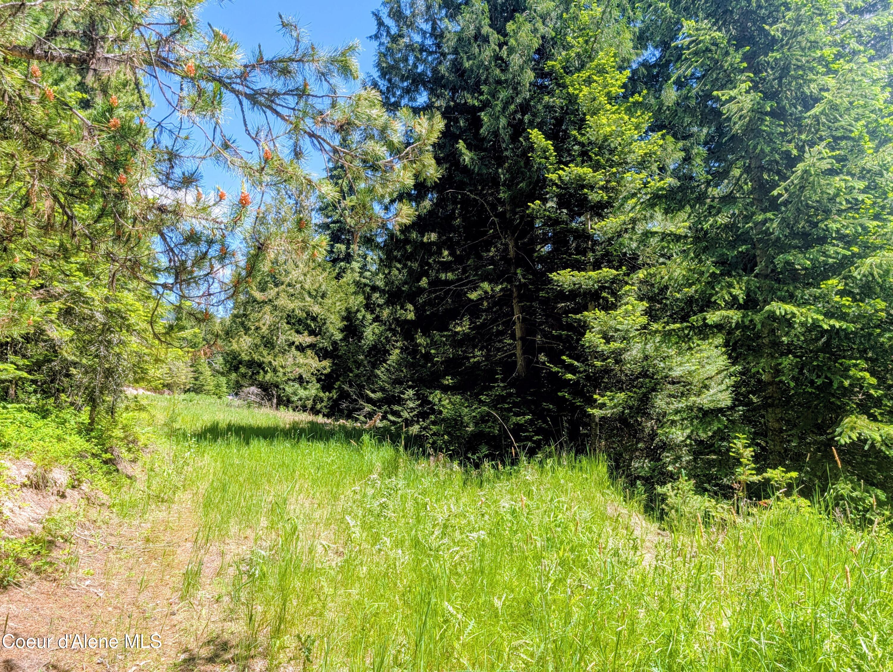 1314 Finn Creek Road Fernwood, ID 83830 - Photo 14 of 23 PXL_20260613_201133737~2