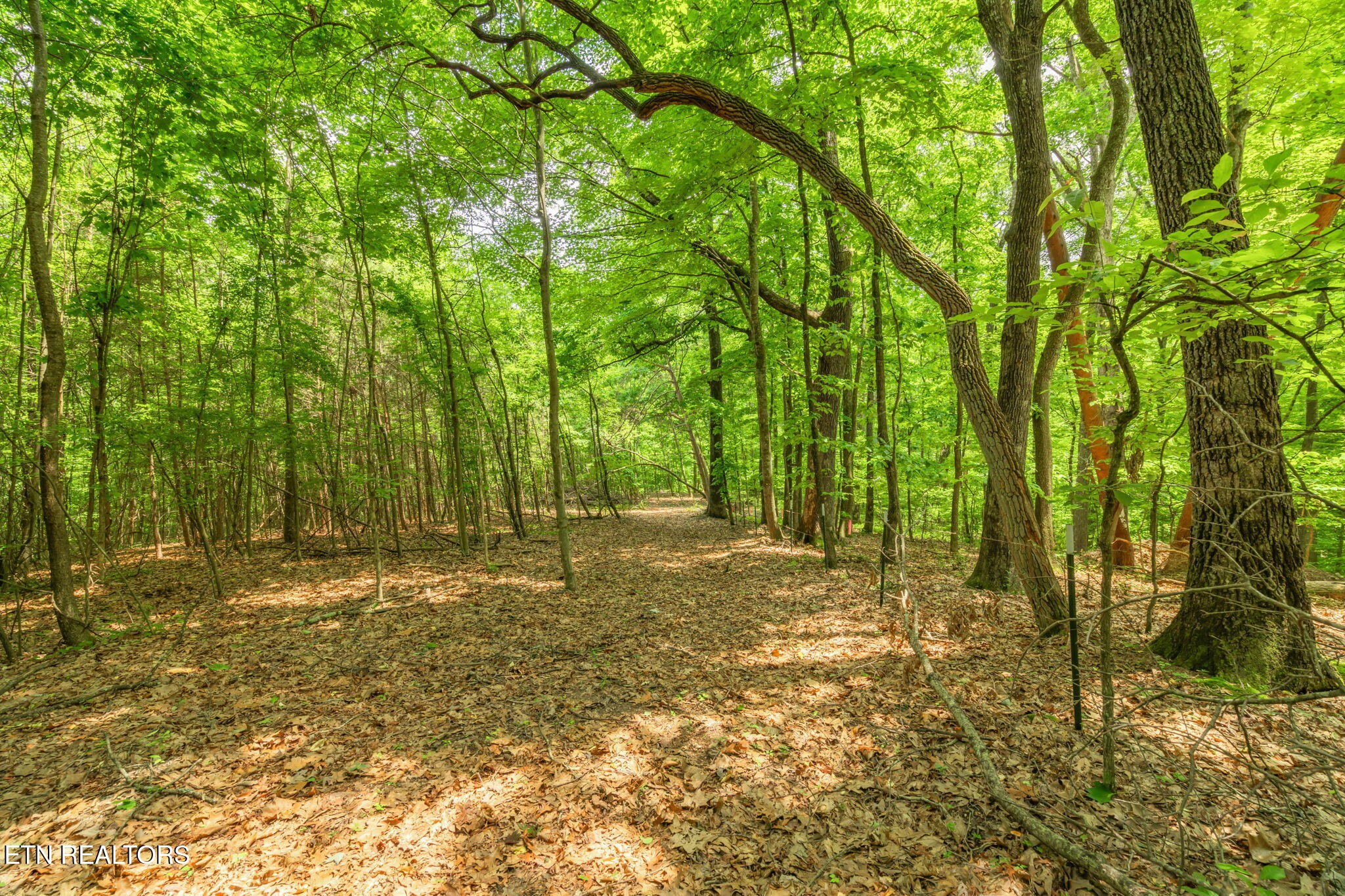 2 Black Oak Road Clinton, TN 37716 - Photo 7 of 16 Gallery Image 7