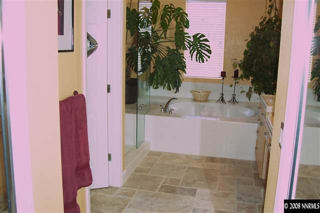 5232 North Elk River Road Reno, NV 89511 - Photo 6 of 9 a bathroom with a bathtub and a sink