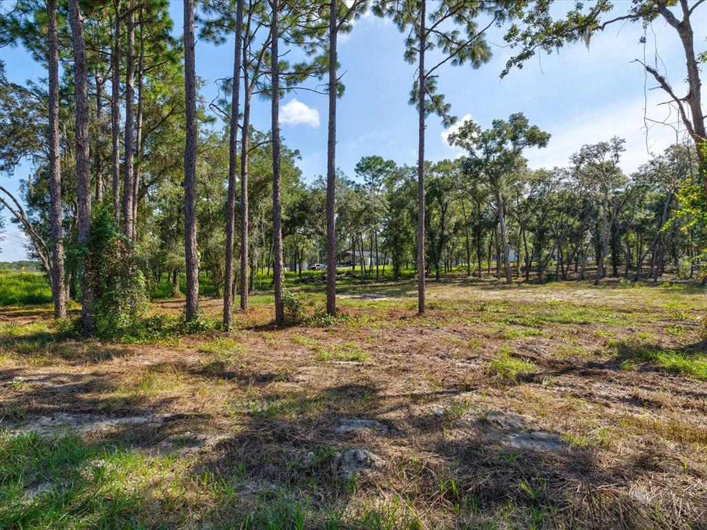 15504 Lenway Road Spring Hill, FL 34610 - Photo 4 of 17 Gallery Image 4