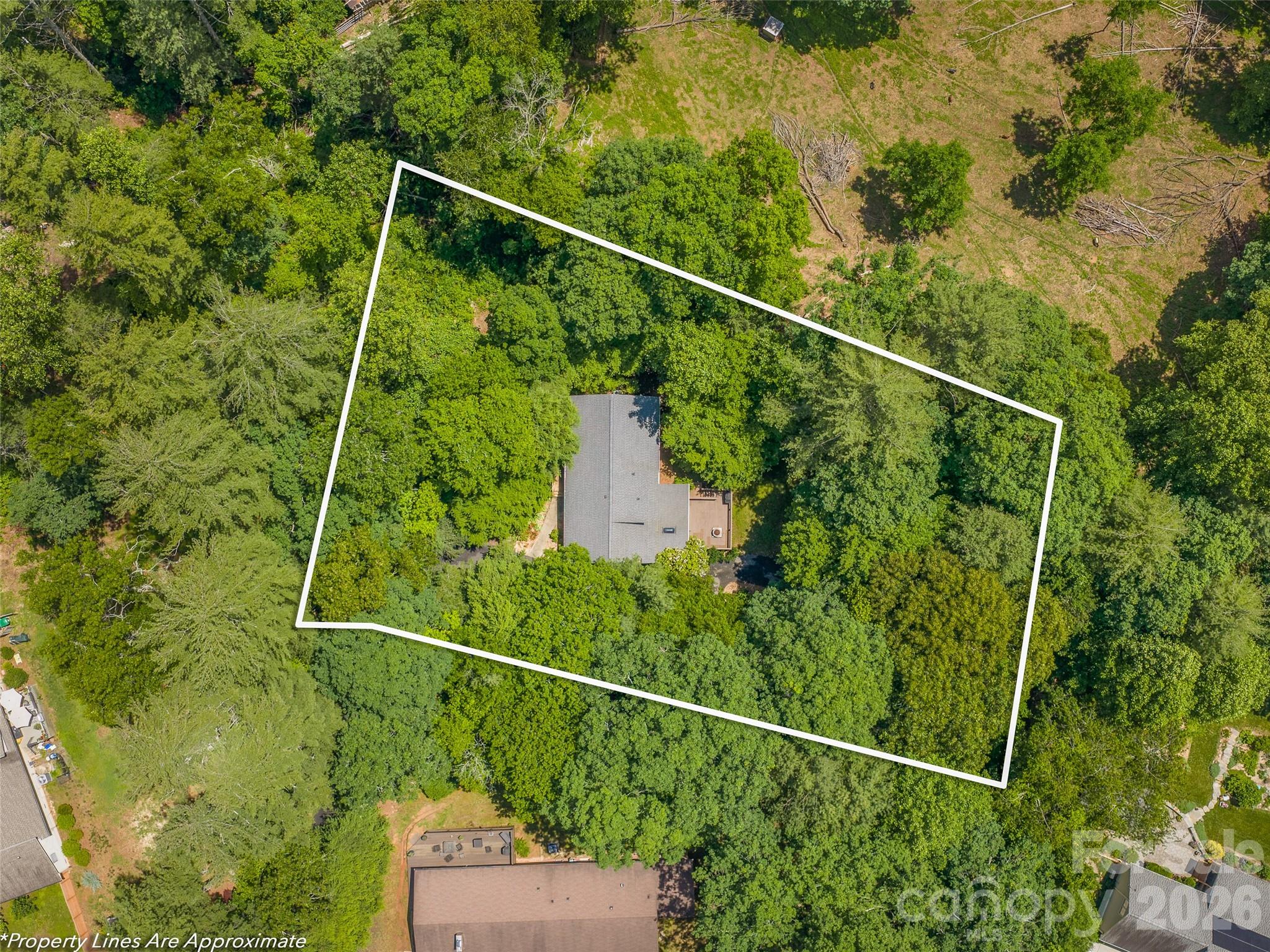 25 Blueberry Lane Fairview, NC 28730 - Photo 45 of 48