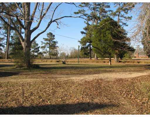 12148 Peck Martin Road Roseland, LA 70456 - Photo 5 of 6 Gallery Image 5