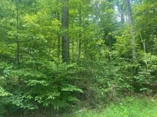 962 South Down Road Stout, OH 45684 - Photo 1 of 6